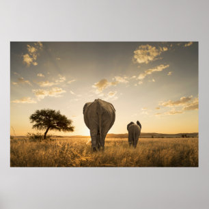 Niedliche Kleintiere   Elephant Calf & Mother Poster