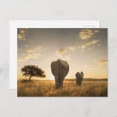 Niedliche Kleintiere | Elephant Calf & Mother Postkarte (Vorne/Hinten)