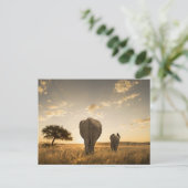 Niedliche Kleintiere | Elephant Calf & Mother Postkarte (Stehend Vorderseite)