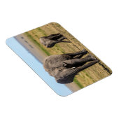 Niedliche Kleintiere | Elephant Mother & Baby Magnet (Rechte Seite)