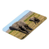 Niedliche Kleintiere | Elephant Mother & Baby Magnet (Linke Seite)