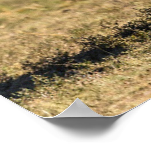 Niedliche Kleintiere | Elephant Mother & Baby Poster (Ecke)