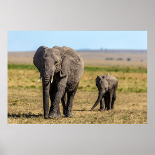 Niedliche Kleintiere   Elephant Mother & Baby Poster