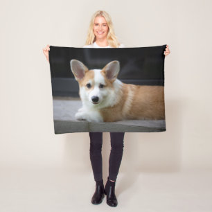 Niedliche Kleintiere   Entspannende Corgi Welpe Fleecedecke