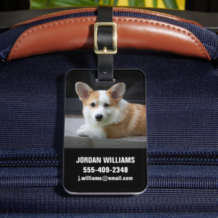Niedliche Kleintiere Entspannende Corgi Welpe Gepäckanhänger
