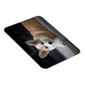 Niedliche Kleintiere | Entspannende Corgi Welpe Magnet (Rechte Seite)