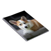 Niedliche Kleintiere | Entspannende Corgi Welpe Notizblock (Rechte Seite)