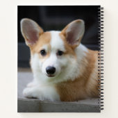 Niedliche Kleintiere | Entspannende Corgi Welpe Notizblock (Rückseite)