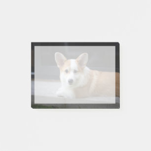 Niedliche Kleintiere Entspannende Corgi Welpe Post-it Klebezettel