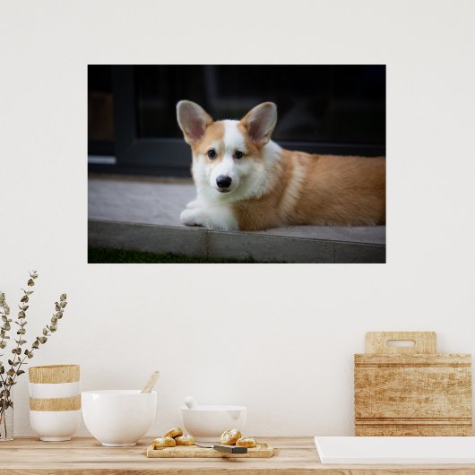 Niedliche Kleintiere | Entspannende Corgi Welpe Poster (Küche)