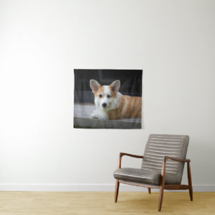Niedliche Kleintiere Entspannende Corgi Welpe Wandteppich