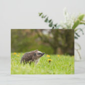 Niedliche Kleintiere | Europäischer Igel Dankeskarte (Stehend Vorderseite)