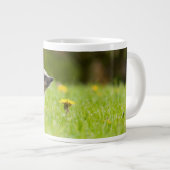 Niedliche Kleintiere | Europäischer Igel Jumbo-Tasse (Vorderseite Rechts)