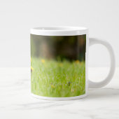 Niedliche Kleintiere | Europäischer Igel Jumbo-Tasse (Rechts)