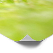 Niedliche Kleintiere | Europäischer Igel Poster (Ecke)