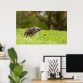 Niedliche Kleintiere | Europäischer Igel Poster (Heimbüro)