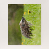 Niedliche Kleintiere | Europäischer Igel Puzzle (Vertikal)