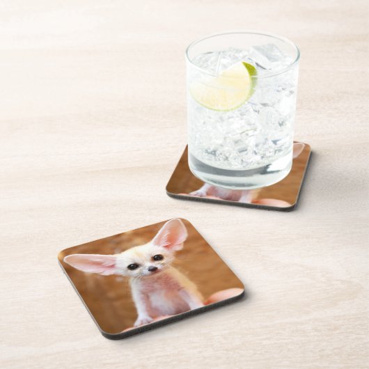 Niedliche Kleintiere | Fennec Fox Getränkeuntersetzer (Rechte Seite)