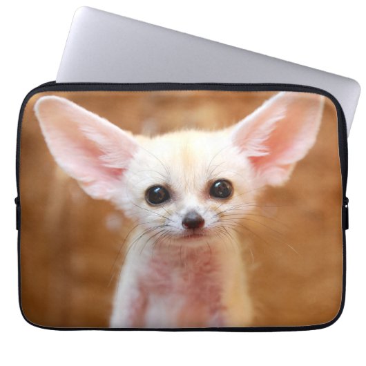 Niedliche Kleintiere | Fennec Fox Laptopschutzhülle (Vorderseite)