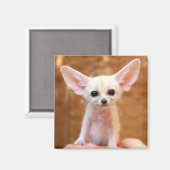 Niedliche Kleintiere | Fennec Fox Magnet (Vorderseite/Rückseite)