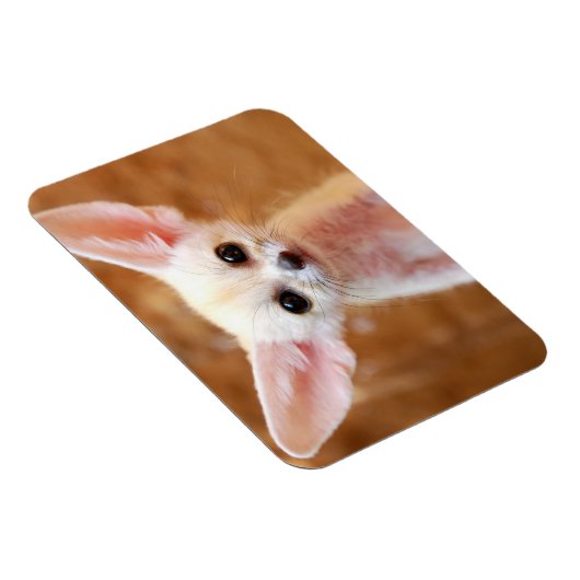 Niedliche Kleintiere | Fennec Fox Magnet (Rechte Seite)