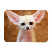 Niedliche Kleintiere | Fennec Fox Magnet (Horizontal)