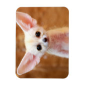 Niedliche Kleintiere | Fennec Fox Magnet (Vertikal)