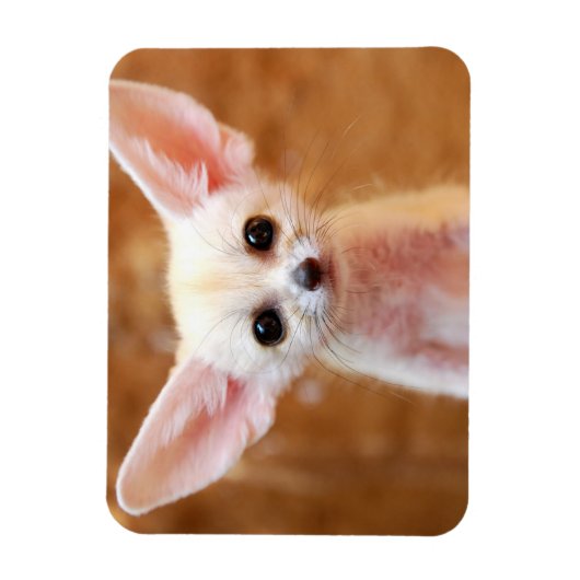 Niedliche Kleintiere | Fennec Fox Magnet (Vertikal)