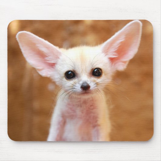 Niedliche Kleintiere | Fennec Fox Mousepad (Vorne)