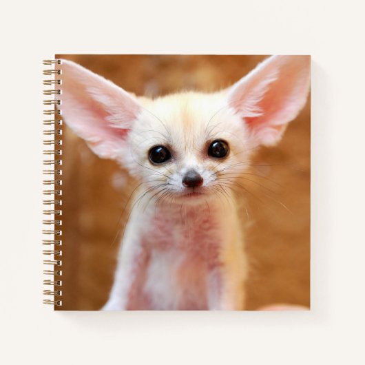 Niedliche Kleintiere | Fennec Fox Notizblock (Vorderseite)