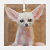 Niedliche Kleintiere | Fennec Fox Ornament Aus Glas (Vorderseite)