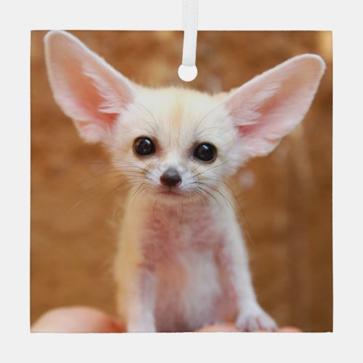 Niedliche Kleintiere | Fennec Fox Ornament Aus Glas (Rückseite)