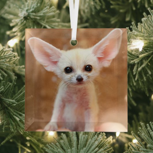Niedliche Kleintiere | Fennec Fox Ornament Aus Glas (Insitu)