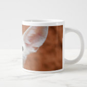 Niedliche Kleintiere | Fennec Fox Pup Jumbo-Tasse (Rechts)