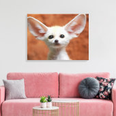 Niedliche Kleintiere | Fennec Fox Pup Leinwanddruck (Insitu (Wohnzimmer))