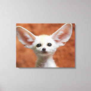 Niedliche Kleintiere Fennec Fox Pup Leinwanddruck