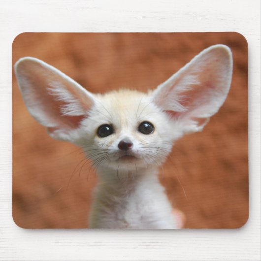 Niedliche Kleintiere | Fennec Fox Pup Mousepad (Vorne)