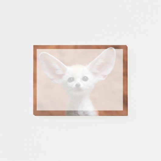 Niedliche Kleintiere | Fennec Fox Pup Post-it Klebezettel (Vorderseite)