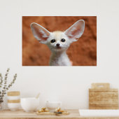 Niedliche Kleintiere | Fennec Fox Pup Poster (Küche)