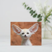 Niedliche Kleintiere | Fennec Fox Pup Postkarte (Stehend Vorderseite)