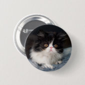 Niedliche Kleintiere | Fluffy B&W Kitten Button (Vorne & Hinten)