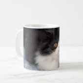 Niedliche Kleintiere | Fluffy B&W Kitten Kaffeetasse (Vorderseite Links)