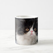 Niedliche Kleintiere | Fluffy B&W Kitten Kaffeetasse (Mittel)