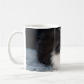 Niedliche Kleintiere | Fluffy B&W Kitten Kaffeetasse (Links)