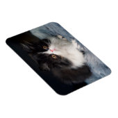 Niedliche Kleintiere | Fluffy B&W Kitten Magnet (Rechte Seite)