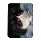 Niedliche Kleintiere | Fluffy B&W Kitten Magnet (Vertikal)