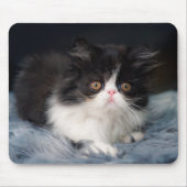 Niedliche Kleintiere | Fluffy B&W Kitten Mousepad (Vorne)