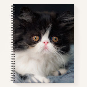 Niedliche Kleintiere Fluffy B&W Kitten Notizblock