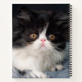Niedliche Kleintiere | Fluffy B&W Kitten Notizblock (Rückseite)