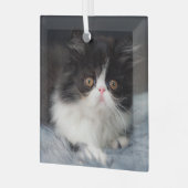 Niedliche Kleintiere | Fluffy B&W Kitten Ornament Aus Glas (Vorderseite links)